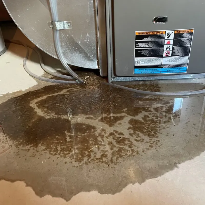 Pipe Burst and Leak Restoration in Plum Creek, VA