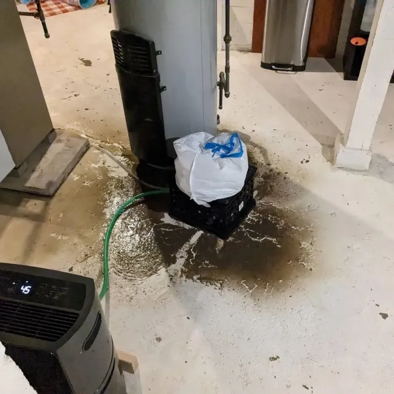 Sewage Backup Cleanup Service in Plum Creek, VA